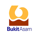 PT Bukit Asam